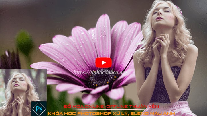 Khóa Học Đồ Họa Thuận Tiến