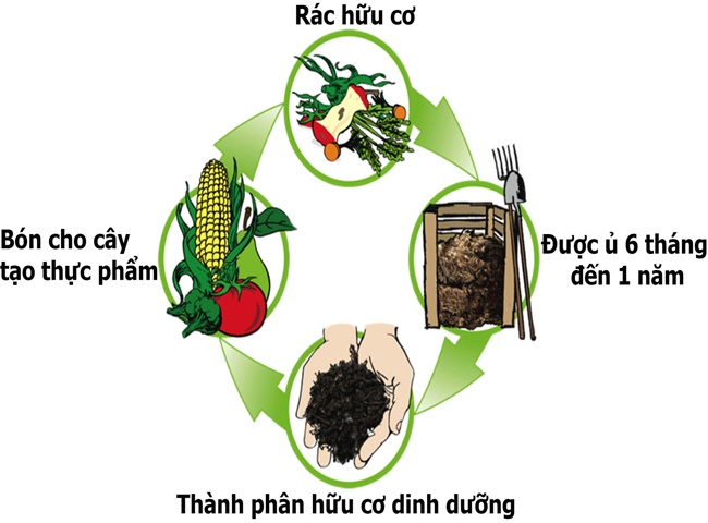 biện pháp xử lý rác thải hữu cơ