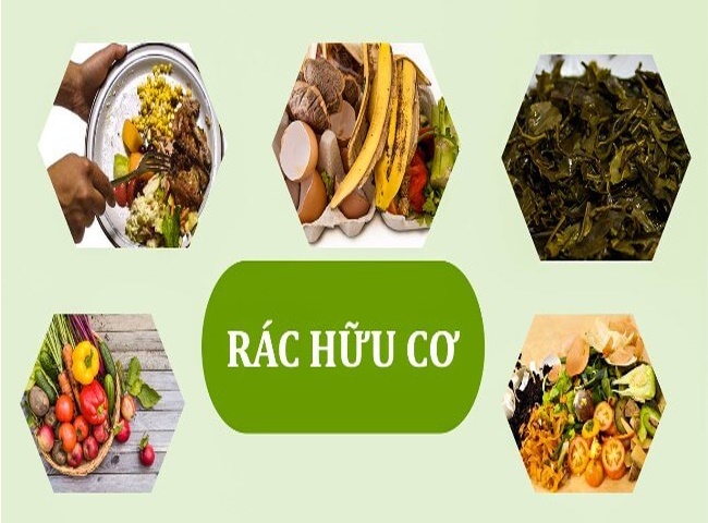 biện pháp xử lý rác thải hữu cơ